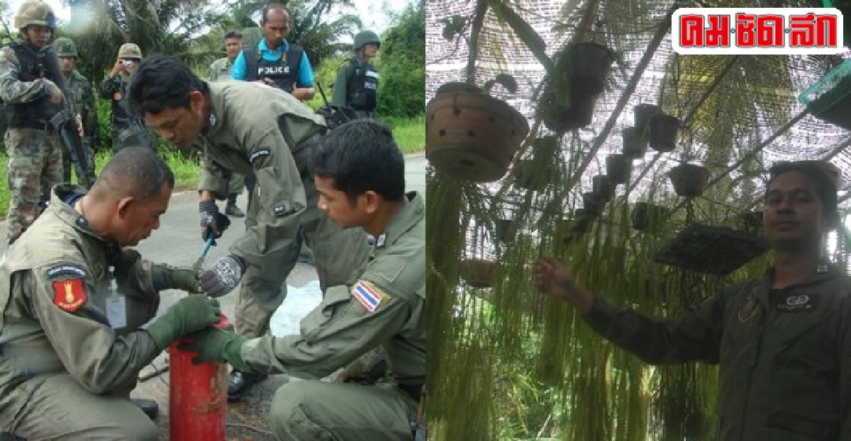 ธรรมชาติบำบัดเครียดอีโอดีใต้ ธรรมชาติบำบัดเครียดอีโอดีใต้