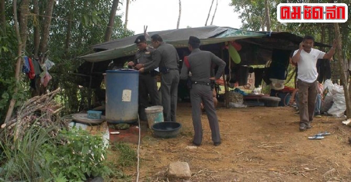 ตรวจสอบช้างเร่ร่อนหลังคลิปถูกทารุณว่อนเน็ต