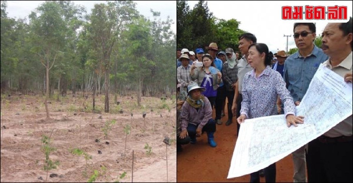จัดโซนปฏิรูปที่ดิน 'ป่าดอยปุย' หวังเกษตรกรมีที่ทำกินยั่งยืน