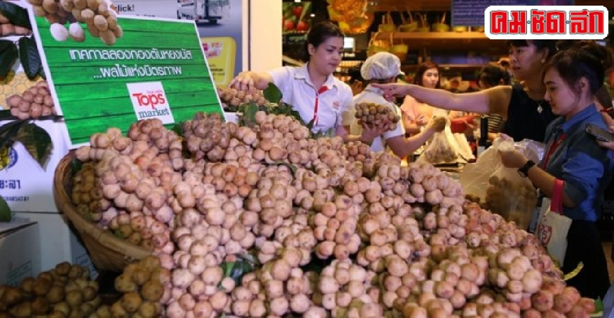 คืนความสุขสู่เกษตรกร3จังหวัดชายแดนใต้