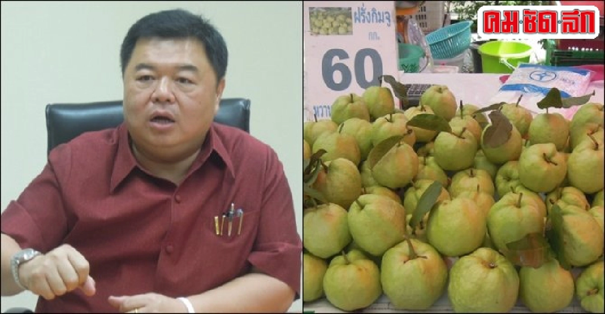 มหกรรม 'สินค้าเกษตรคุณภาพ' อีกช่องทาง 'ตลาด' เกษตรกรไทย มหกรรม 'สินค้าเกษตรคุณภาพ' อีกช่องทาง 'ตลาด' เกษตรกรไทย