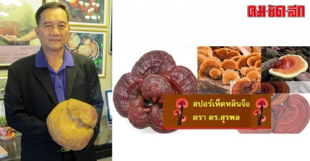 ข้อคิดจาก... นพ.สุรพล รักปทุม ข้อคิดจาก... นพ.สุรพล รักปทุม