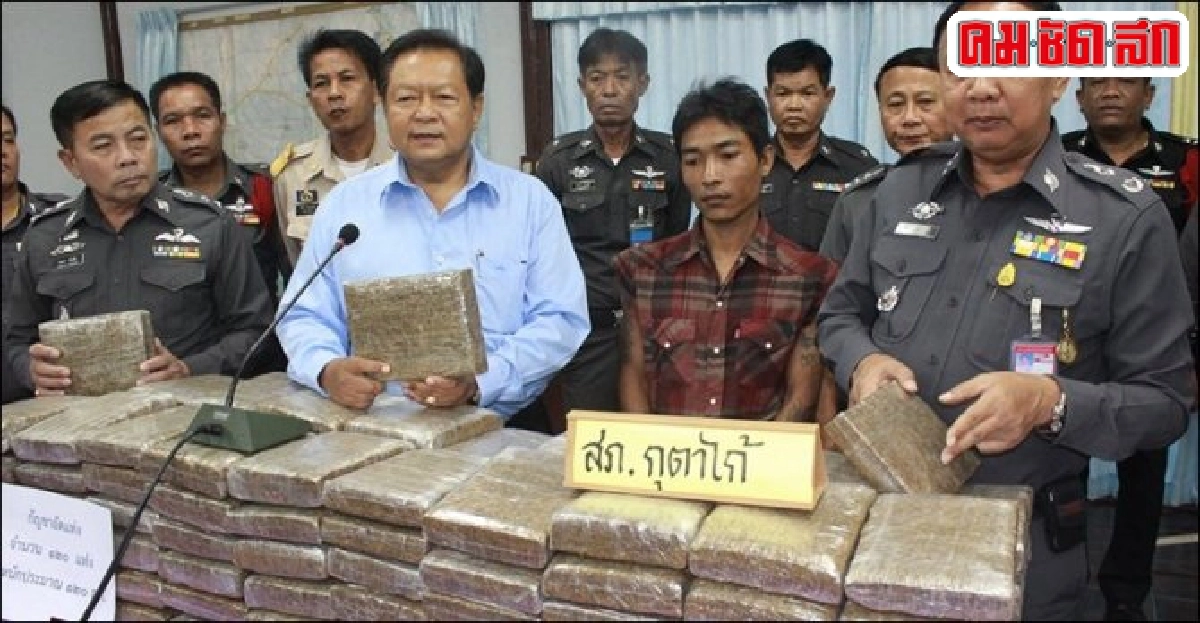 ปูกัญชา.120กก.นอนตบตาตำรวจ ปูกัญชา.120กก.นอนตบตาตำรวจ