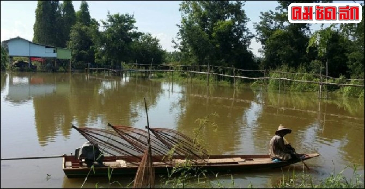 พบนกปากห่างนับหมื่นหากินริมน้ำยมรบกวนชาวบ้าน
