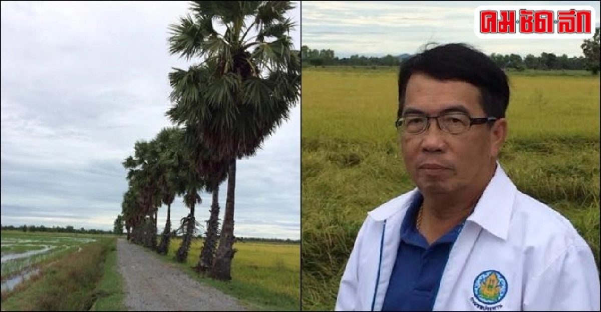 เร่ง 'จัดรูปที่ดิน' สนองรัฐ 'ลดต้นทุน-เพิ่มผลผลิต' เร่ง 'จัดรูปที่ดิน' สนองรัฐ 'ลดต้นทุน-เพิ่มผลผลิต'