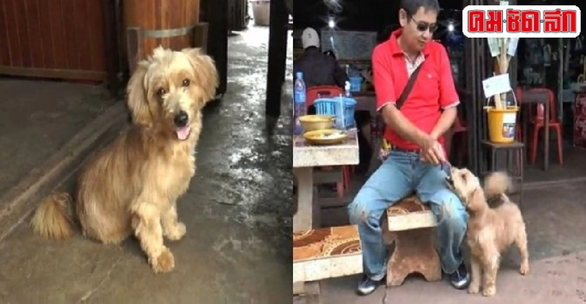 ทึ่ง!สุนัขแสนรู้ช่วยเจ้าของเก็บเงินลูกค้า ทึ่ง!สุนัขแสนรู้ช่วยเจ้าของเก็บเงินลูกค้า