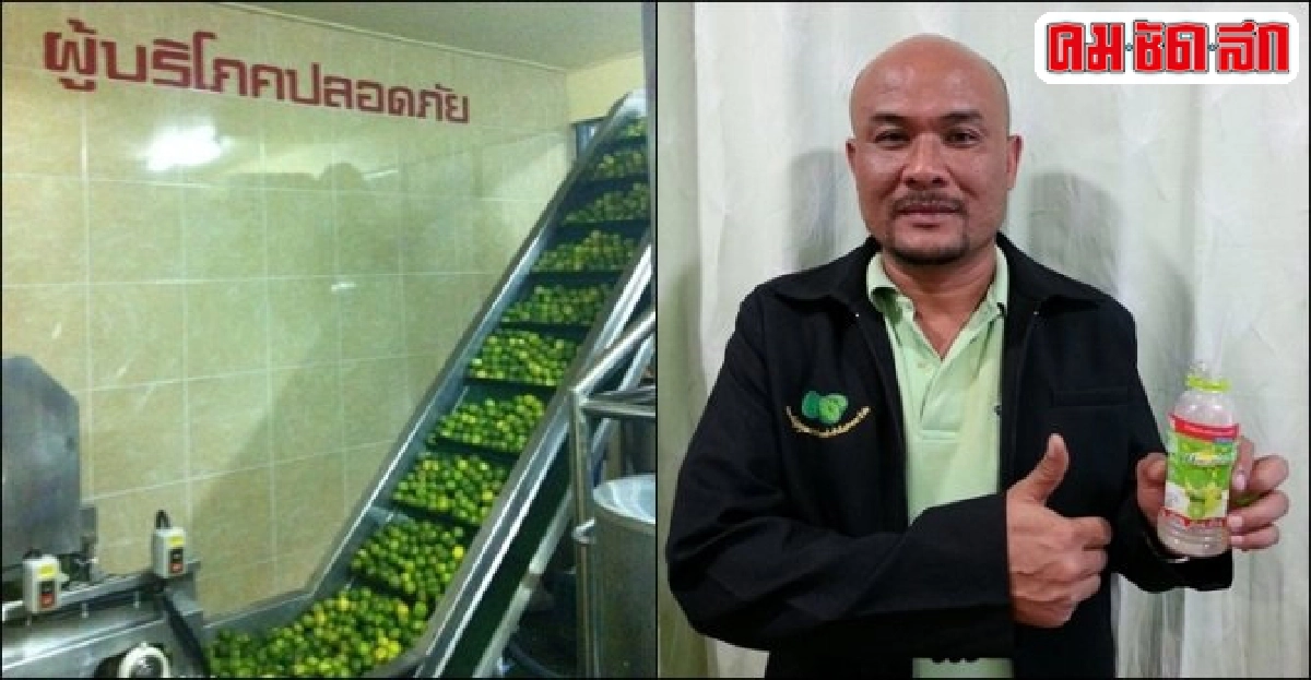 'มีนาว' ผลิตภัณฑ์จากมะนาวสด คงคุณภาพขายยามขาดแคลน
