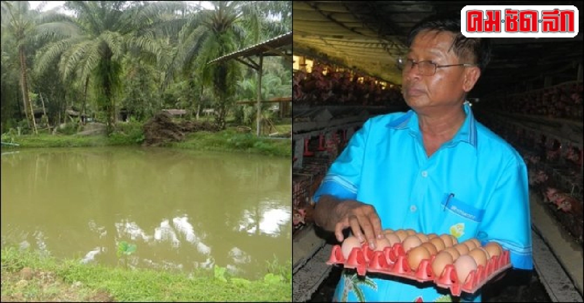 พลิกเหมืองเก่าทำสวนผสมผสาน ที่ 52 ไร่กำไรสุทธิปีกว่าละ 4 ล.