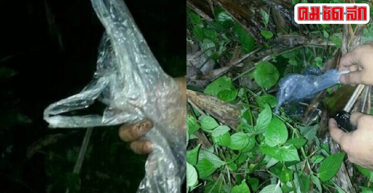 ภาพวงจรปิด-ดีเอ็นเอปิดคดีฆ่า2นทท.เกาะเต่า ภาพวงจรปิด-ดีเอ็นเอปิดคดีฆ่า2นทท.เกาะเต่า