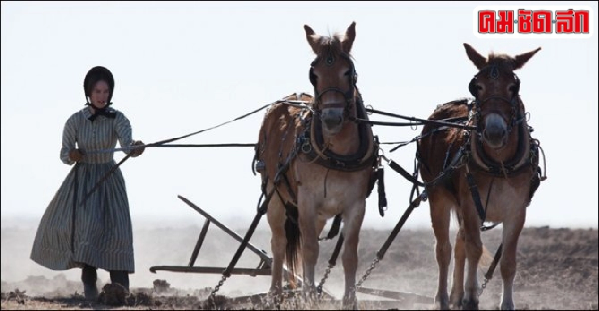 'ทอมมี ลี โจนส์'แสดงนำ-กำกับใน'The Homesman' 'ทอมมี ลี โจนส์'แสดงนำ-กำกับใน'The Homesman'