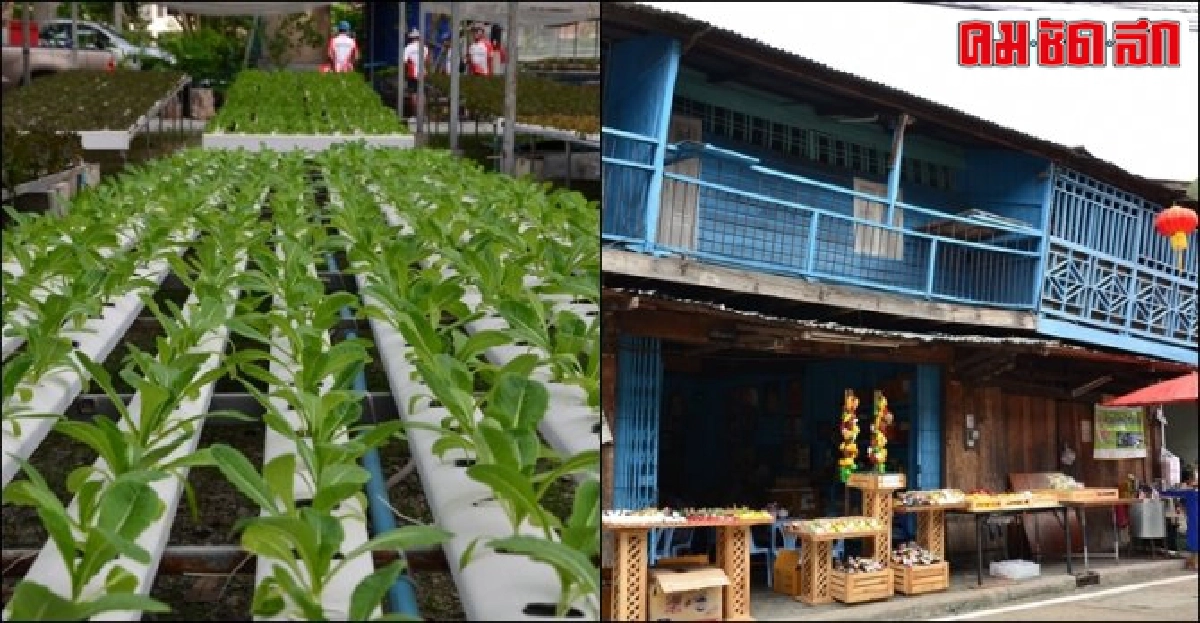 ชวนเที่ยว : ไปขี่เสือ...บ้านชากแง้ว