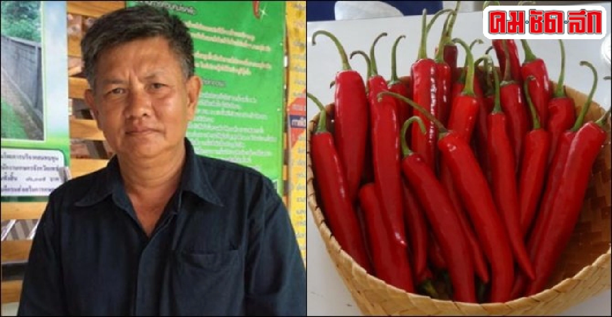 รวมกลุ่มแปรรูปพริก 'ขุนม่วงไข่ขจร'