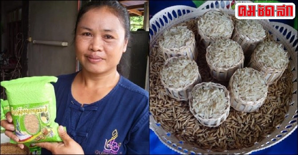 ข้าวกล้องงอก 'บ้านนาตาล' การันตีคุณภาพ-โอท็อป 5 ดาว ข้าวกล้องงอก 'บ้านนาตาล' การันตีคุณภาพ-โอท็อป 5 ดาว