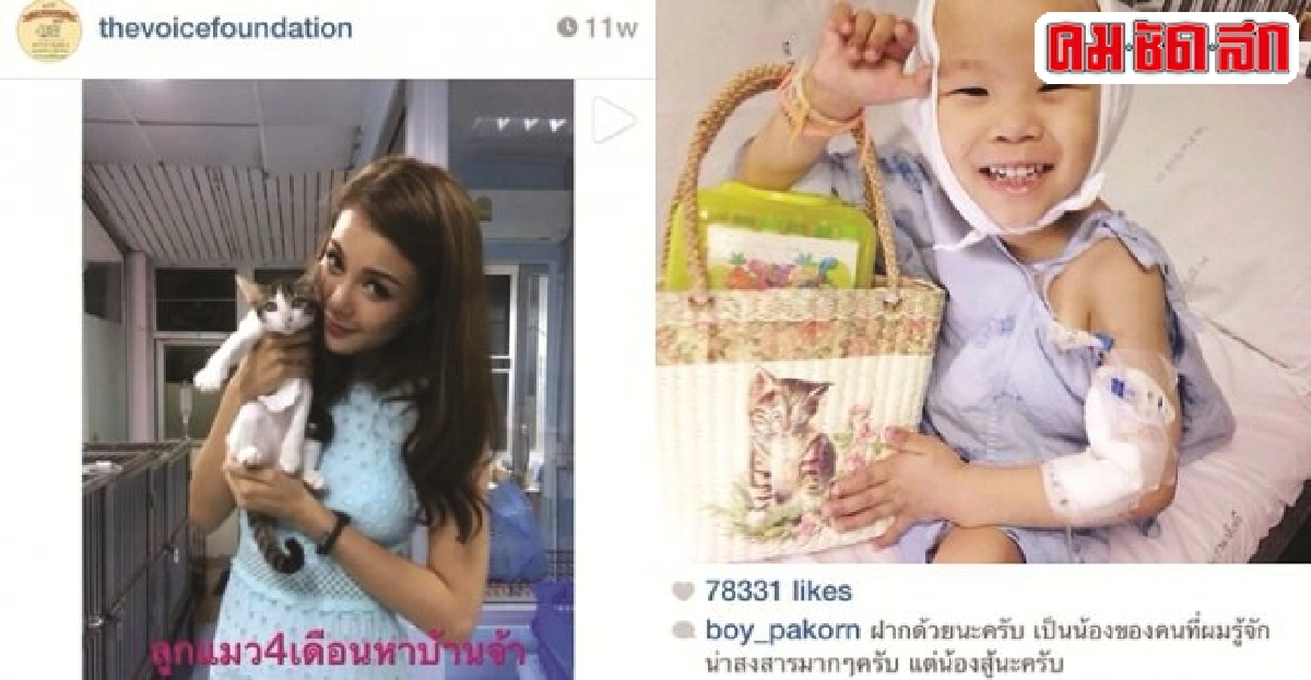 พาเหรดดาราใจบุญร่วมแชร์ช่วยเหลือผ่านไอจี พาเหรดดาราใจบุญร่วมแชร์ช่วยเหลือผ่านไอจี