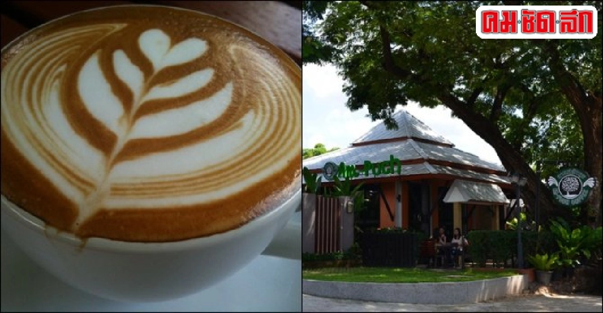 ศิลปะ กาแฟ อัมพุช ศิลปะ กาแฟ อัมพุช