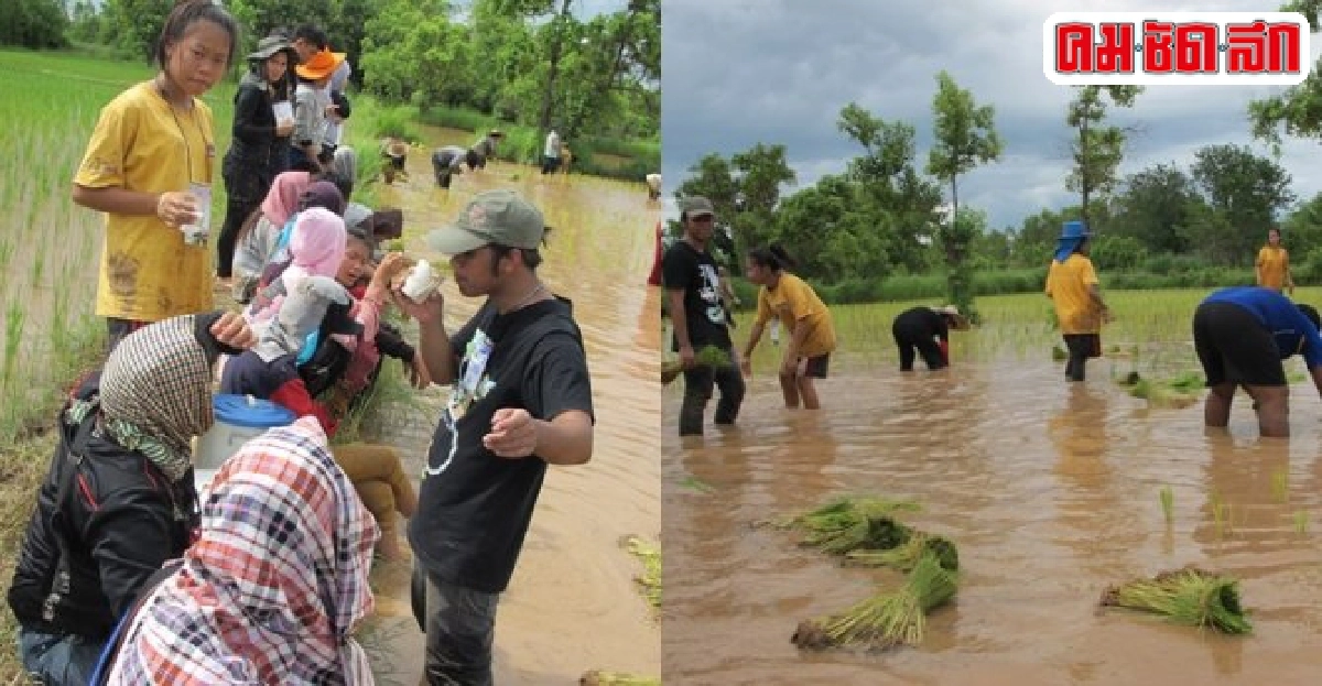 เรียนรู้ข้าวฟังเรื่องเล่าชาวนาปลูกสำนึกเยาวชนรักษ์บ้านเกิด เรียนรู้ข้าวฟังเรื่องเล่าชาวนาปลูกสำนึกเยาวชนรักษ์บ้านเกิด