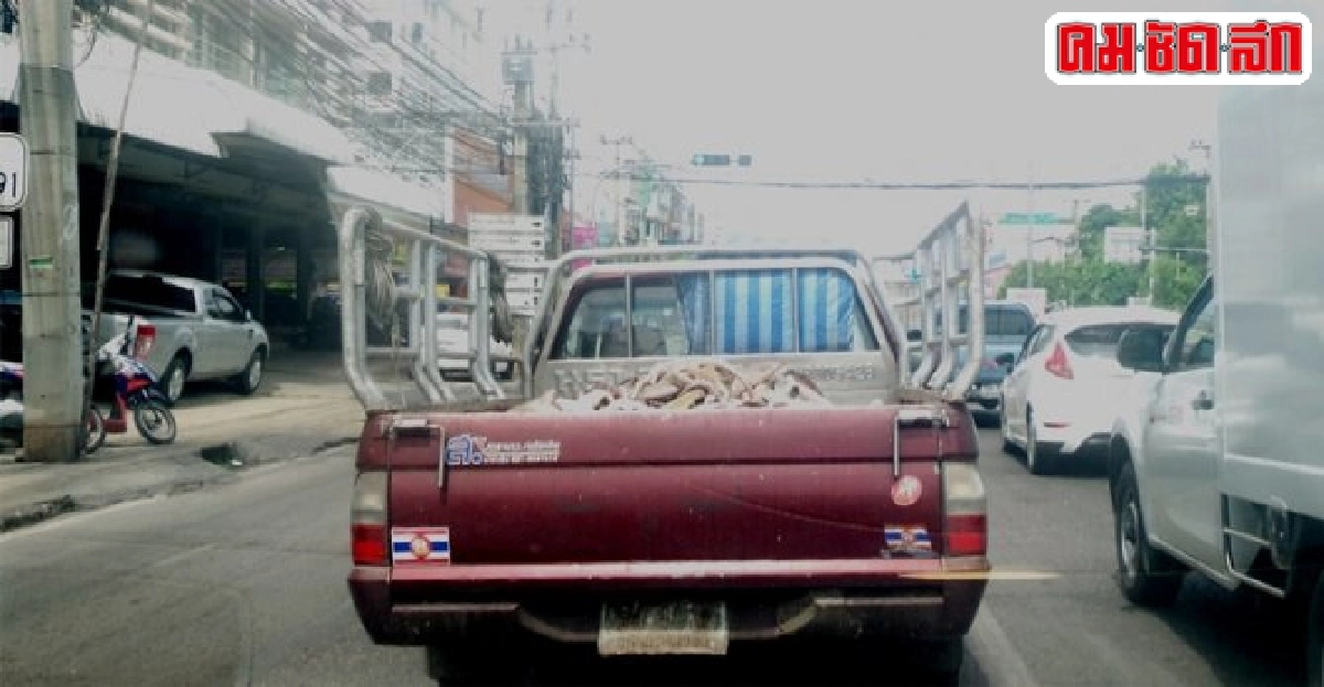 มหาชัยจับ-ปรับรถทิ้งน้ำเมือกปลาลงถนน มหาชัยจับ-ปรับรถทิ้งน้ำเมือกปลาลงถนน