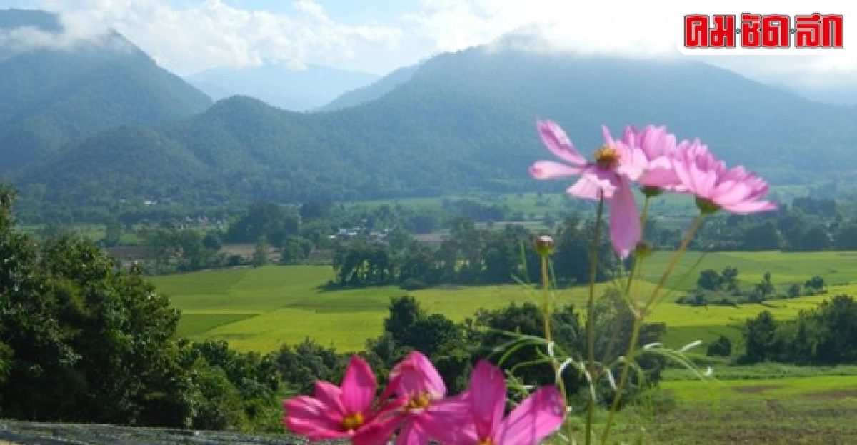 หนาวนี้ไปที่เมืองปาย มีของดีไม่มีใครเหมือน หนาวนี้ไปที่เมืองปาย มีของดีไม่มีใครเหมือน