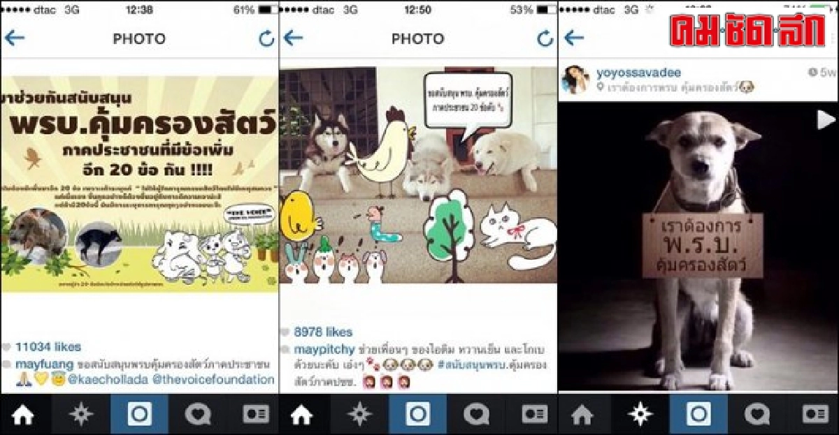 คนดังสนับสนุน'พรบ.คุ้มครองสัตว์' คนดังสนับสนุน'พรบ.คุ้มครองสัตว์'