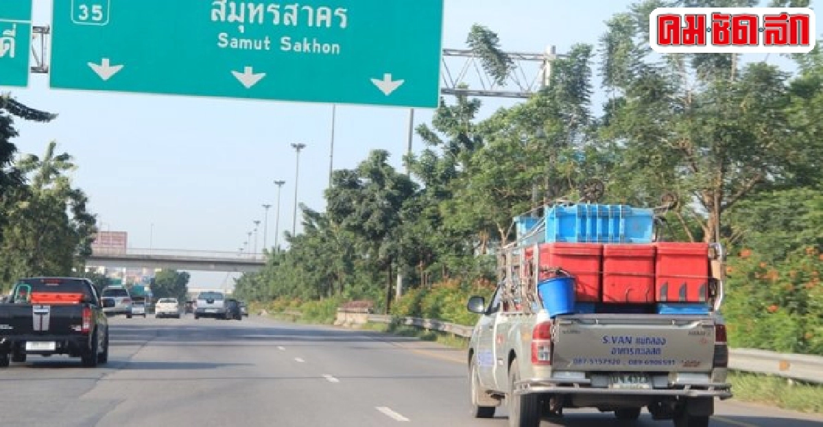 เมือกปลา ทำรถตกถนนตาย 6 เท่า เมือกปลา ทำรถตกถนนตาย 6 เท่า