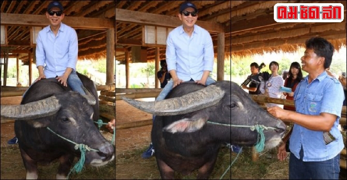 โรงเรียนสอนกระบือ 'กาสรกสิวิทย์' โรงเรียนสอนกระบือ 'กาสรกสิวิทย์'