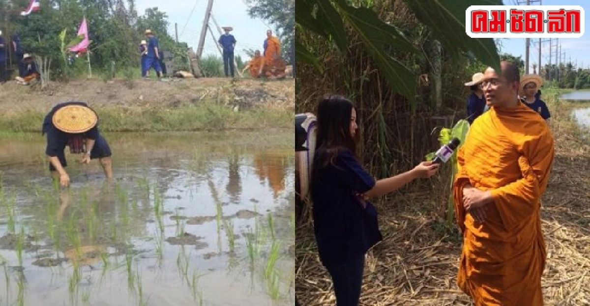 พระ-นิสิตป.เอก'มจร'ช่วยชาวบ้านดำนายึดพอเพียง