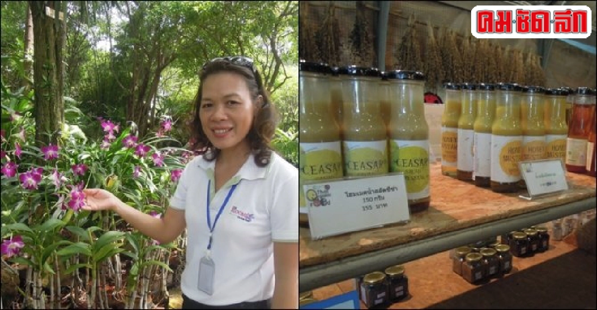 ตะลุยชมของดีเมือง 'โอ่งมังกร' จากสวนกล้วยไม้สู่ปลาสวยงาม