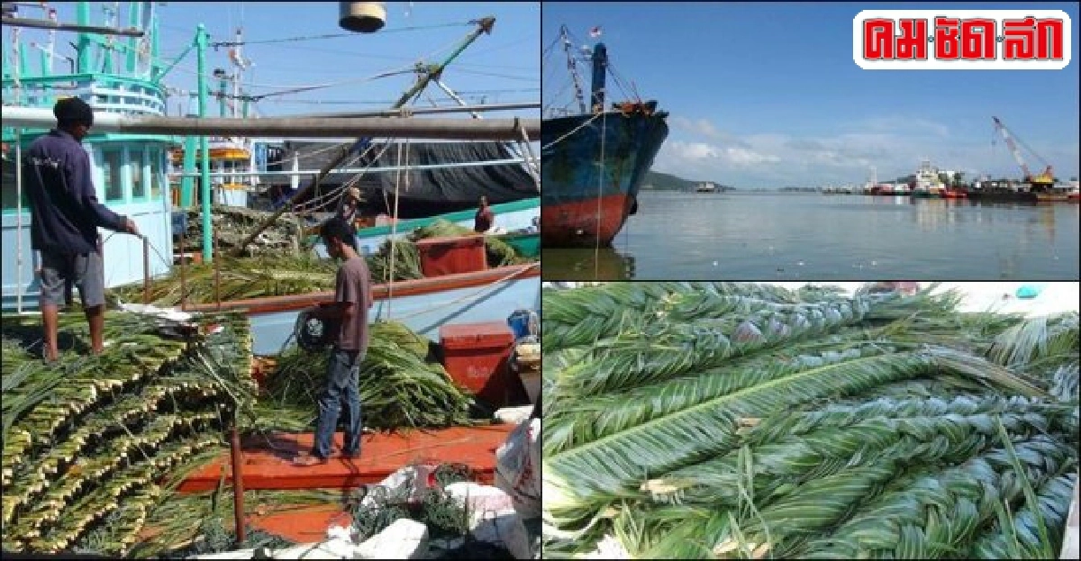 เรือประมงพร้อมออกเรืออีกหากสภาพอากาศดีขึ้น เรือประมงพร้อมออกเรืออีกหากสภาพอากาศดีขึ้น