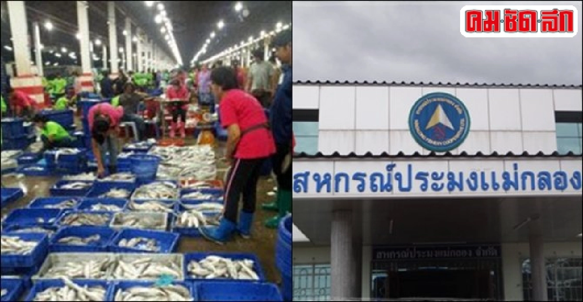 'ประมงแม่กลอง' ฝ่าวิกฤติน้ำมันแพง