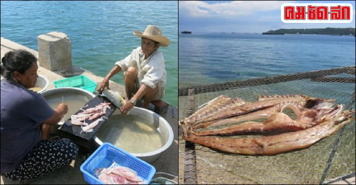 ผลิตภัณฑ์ทำเงิน 'เกาะขามใหญ่' หมึกแดดเดียว-ปลาสละดองเค็ม ผลิตภัณฑ์ทำเงิน 'เกาะขามใหญ่' หมึกแดดเดียว-ปลาสละดองเค็ม
