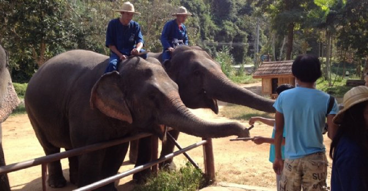 อุ้มช้างอาบน้ำที่ลำปาง อุ้มช้างอาบน้ำที่ลำปาง