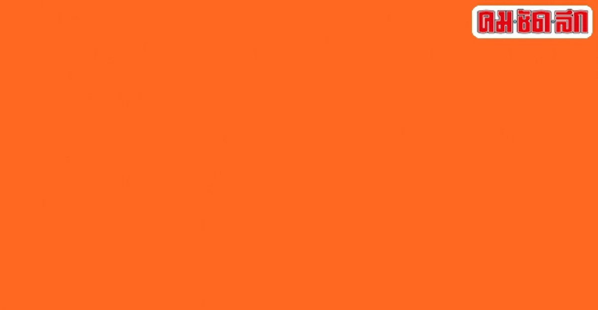 TEST TEST