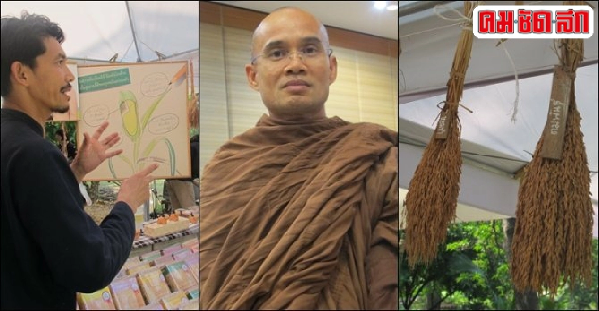 'ข้าวคุณธรรม' ของคนถือศีลห้า