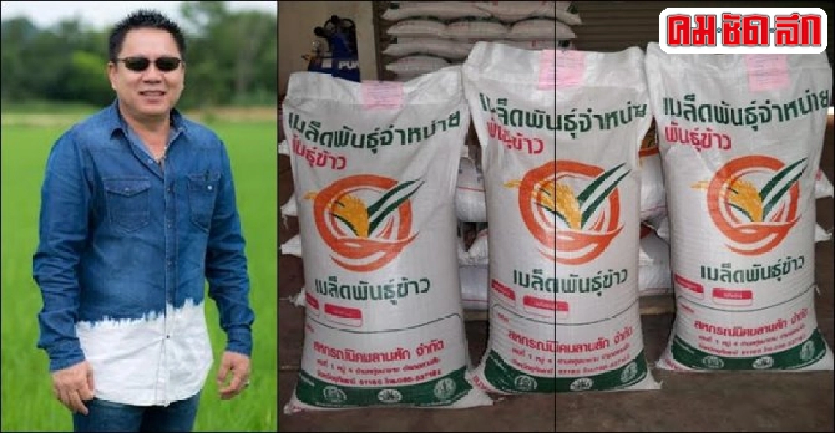 'ลดต้นทุน-เพิ่มผลผลิต' สหกรณ์ฯลานสักมุ่งผลิตเมล็ดพันธุ์ดี