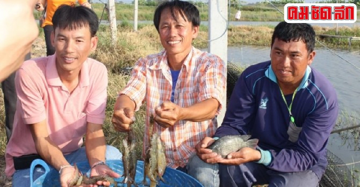 เส้นทางอาชีพ : ชุมชนประมงต้นแบบดีเด่น เส้นทางอาชีพ : ชุมชนประมงต้นแบบดีเด่น