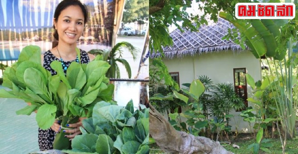 รับไฮซีซันเกาะพะงันเน้นผักไร้สาร 