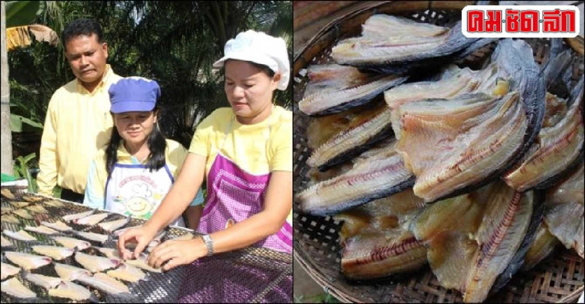 รวมกลุ่มผลิต 'ดุกแดดเดียว' อร่อย 5 ดาว-ตลาดรับไม่อั้น