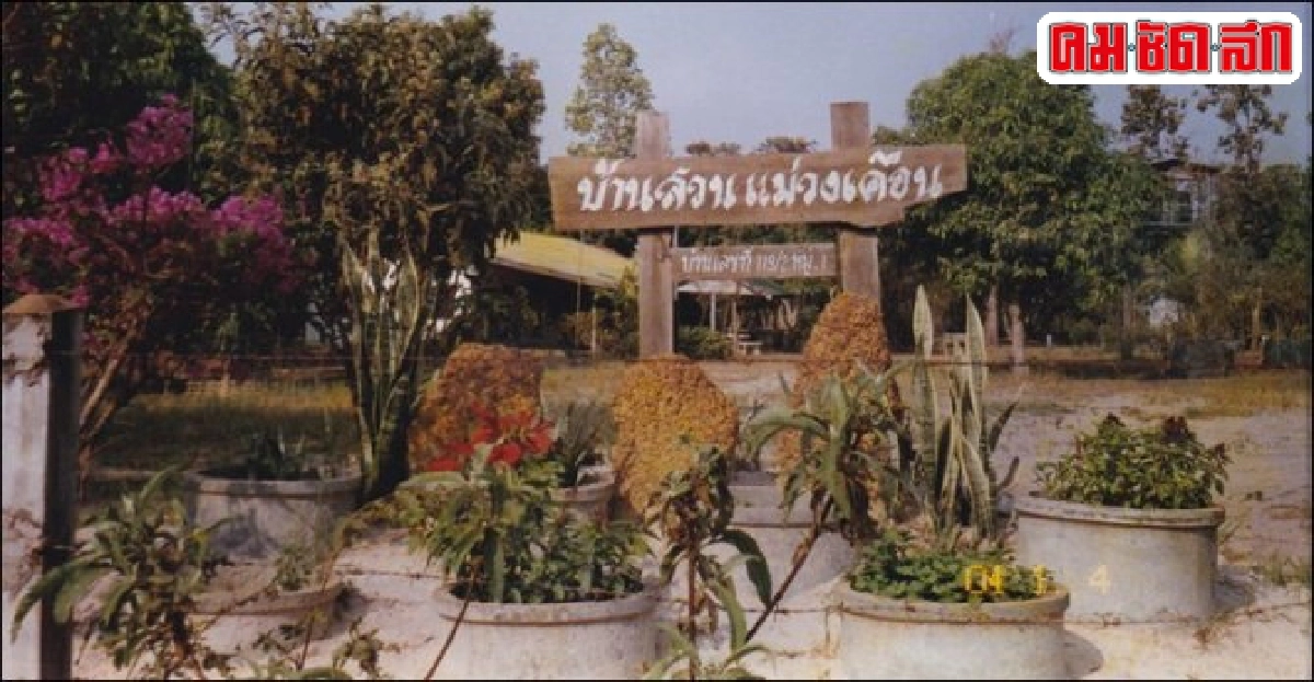 ตอบแทนความรัก ด้วยหัวใจทั้งดวง