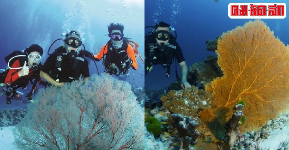 เมินหนาวไปเป็นชาวเกาะ@สิมิลัน เมินหนาวไปเป็นชาวเกาะ@สิมิลัน