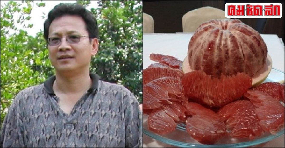 พัฒนา'ส้มโอแดง'ของดีชัยภูมิยกระดับพันธุ์พื้นเมืองมุ่งส่งออก