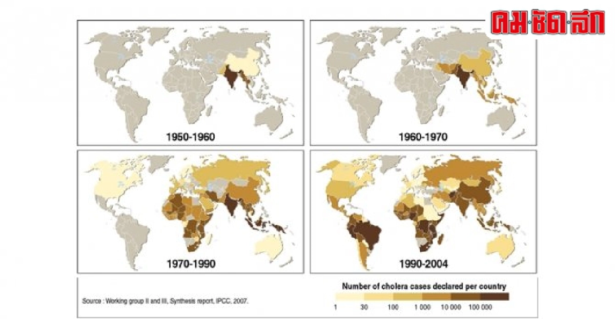 ครั้งแรกในโลก 'อหิวาต์เลือดไก่' เชื้ออหิวาต์แท้-เทียม