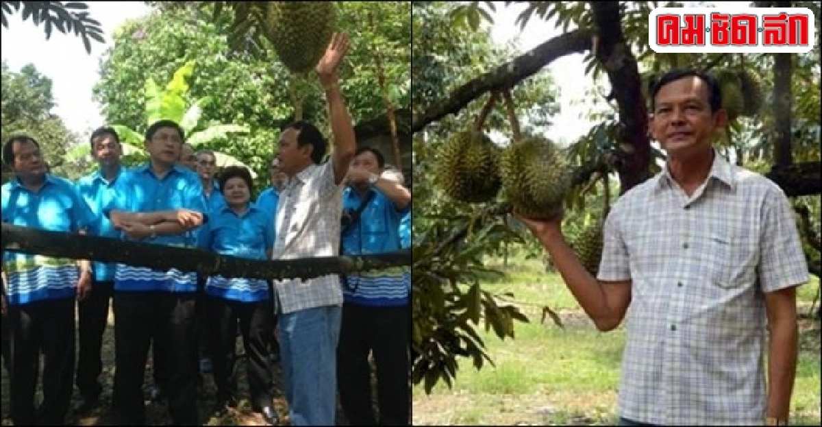 'ไพฑูรย์ วานิชศรี' ปลูกทุเรียนออกผลทั้งปี 'ไพฑูรย์ วานิชศรี' ปลูกทุเรียนออกผลทั้งปี