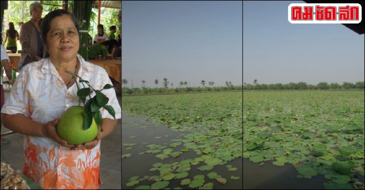 ล่องเรือ 'ชมสวน' เลียบคลองมหาสวัสดิ์ สัมผัสวิถีภาคเกษตร
