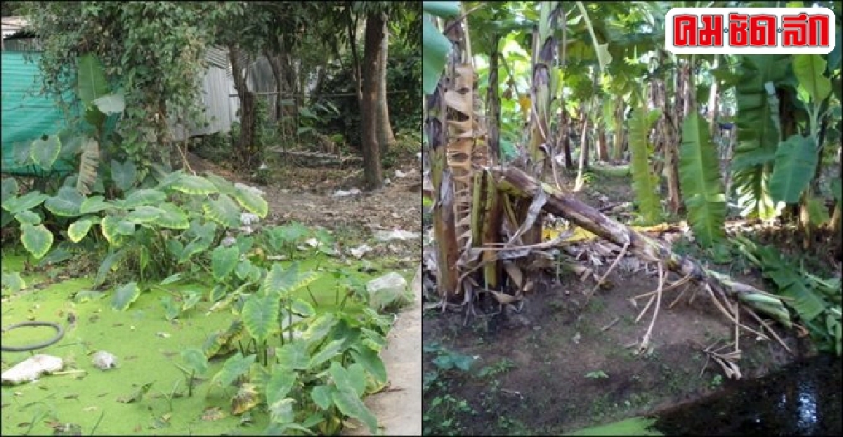 ฟ้องด้วยภาพ : สารพันปัญหา