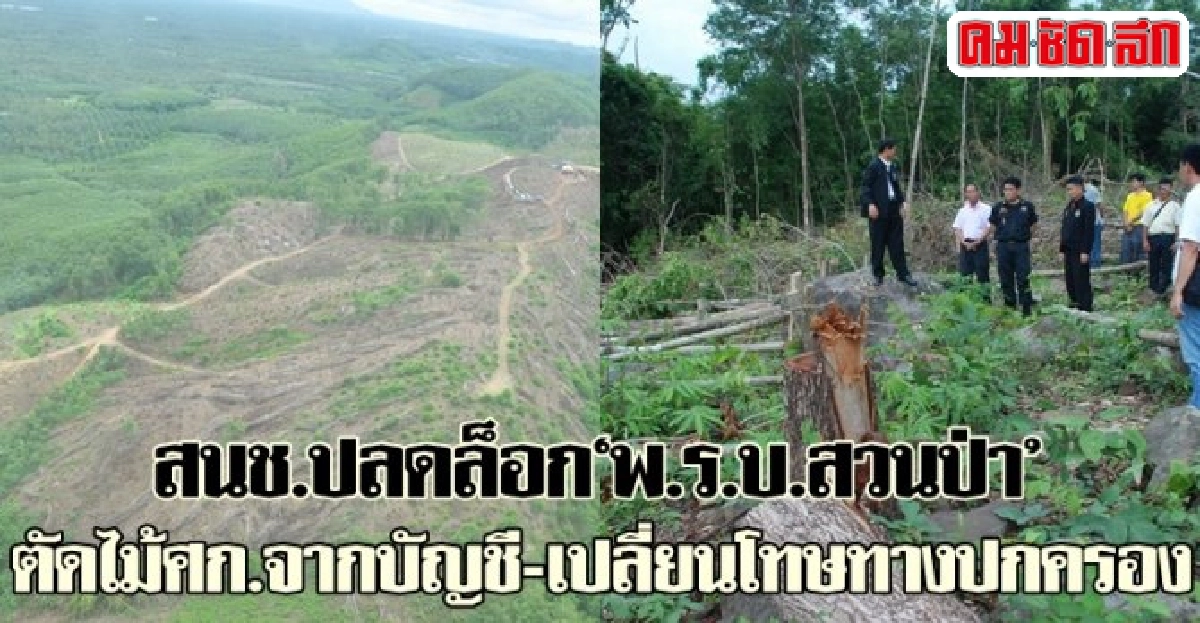 สนช.ปลดล็อกพ.ร.บ.สวนป่าเปลี่ยนโทษทางปกครอง สนช.ปลดล็อกพ.ร.บ.สวนป่าเปลี่ยนโทษทางปกครอง