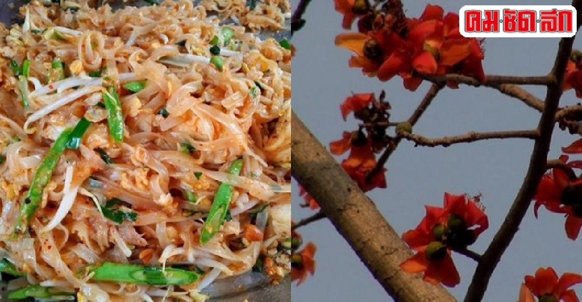 จัดงานผัดไทยวังทอง21-28ก.พ.