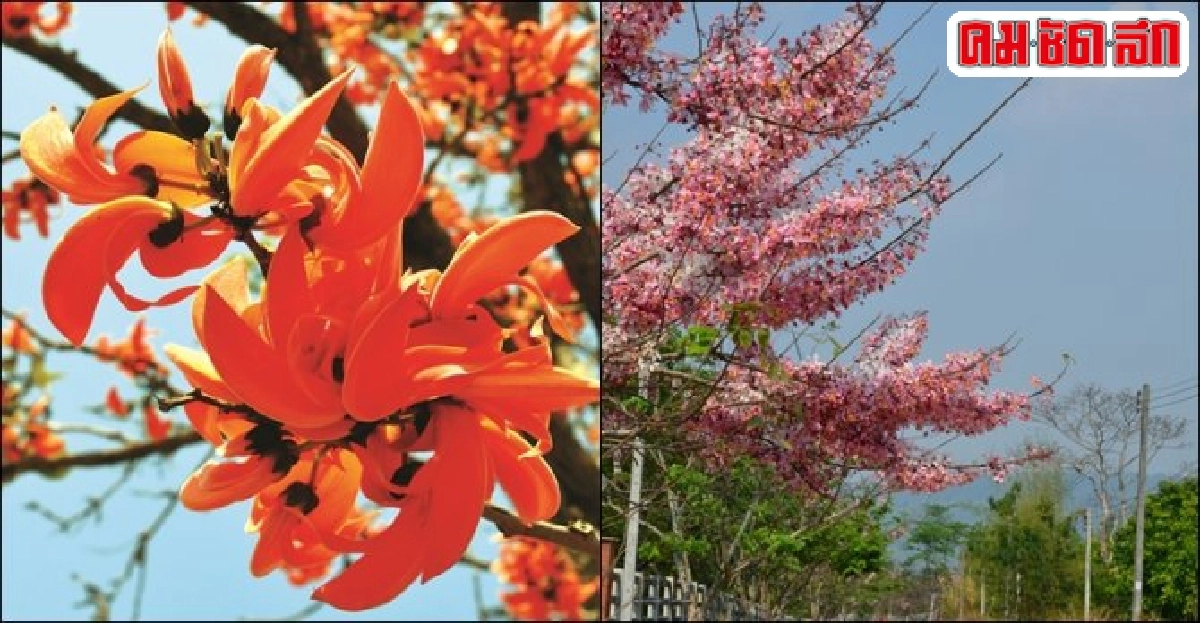 จุดหมาย ... รายทาง : สีสันแห่งฤดูกาล