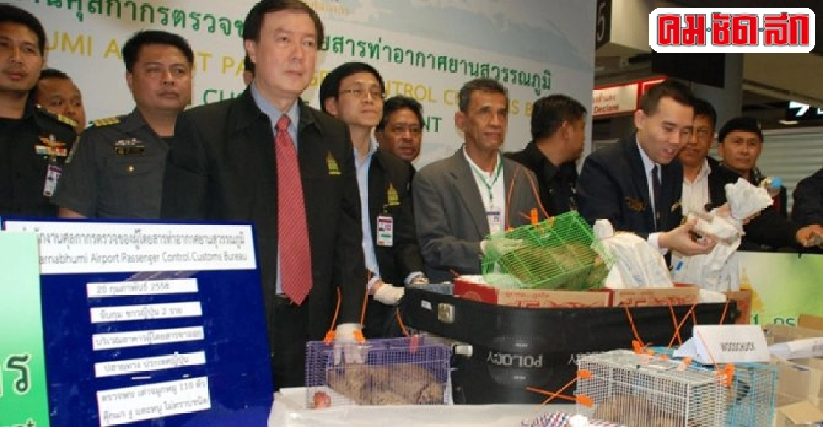 รวบ!'ญี่ปุ่น'ขนเต่างูกลับปท. รวบ!'ญี่ปุ่น'ขนเต่างูกลับปท.