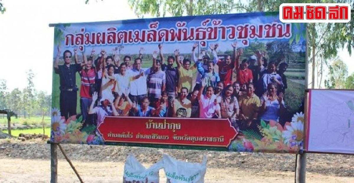 ยก 'บ้านป่ากุง' ต้นแบบจัดรูปที่ดิน