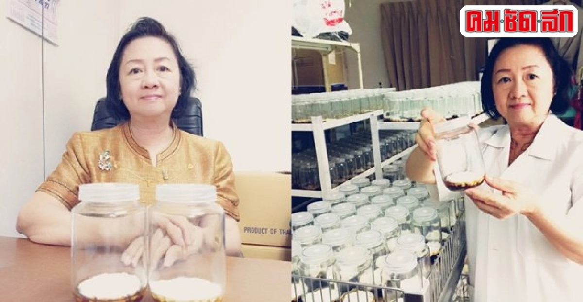 'หัตถเวชรุ่นเยาว์'สืบทอดภูมิปัญญาไทยสร้างทักษะอาชีพ 